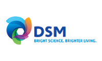 DSM logo